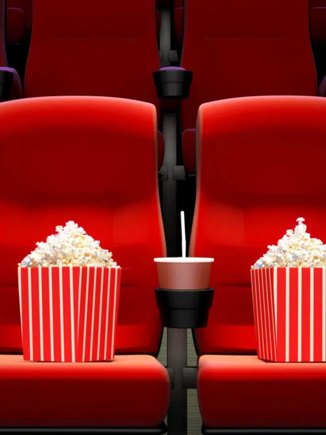 What are Seat Fillers?