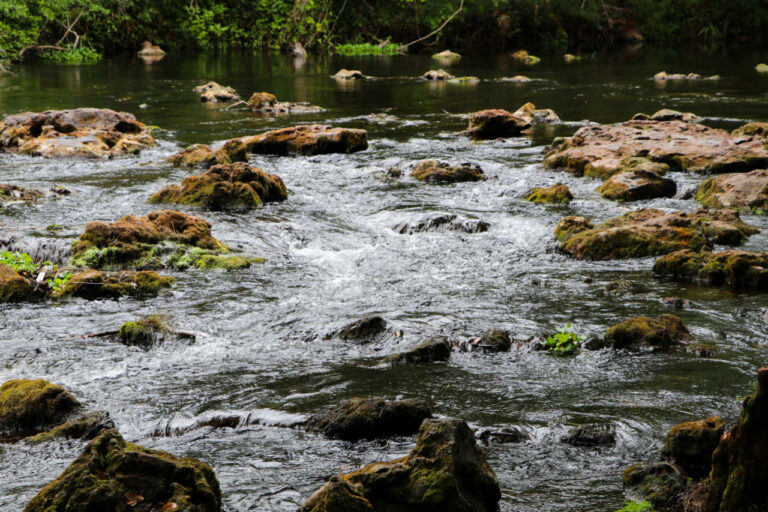 Hillsborough River State Park, parks in Tampa, Tampa parks