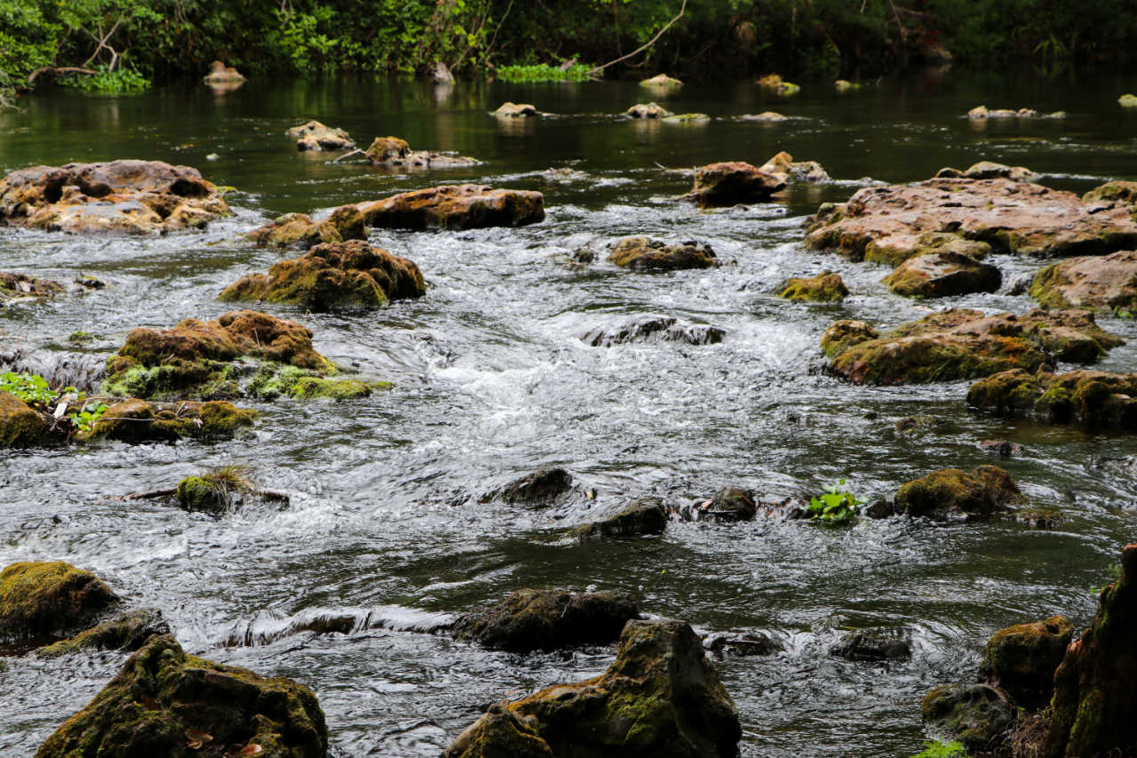 Hillsborough River State Park, parks in Tampa, Tampa parks