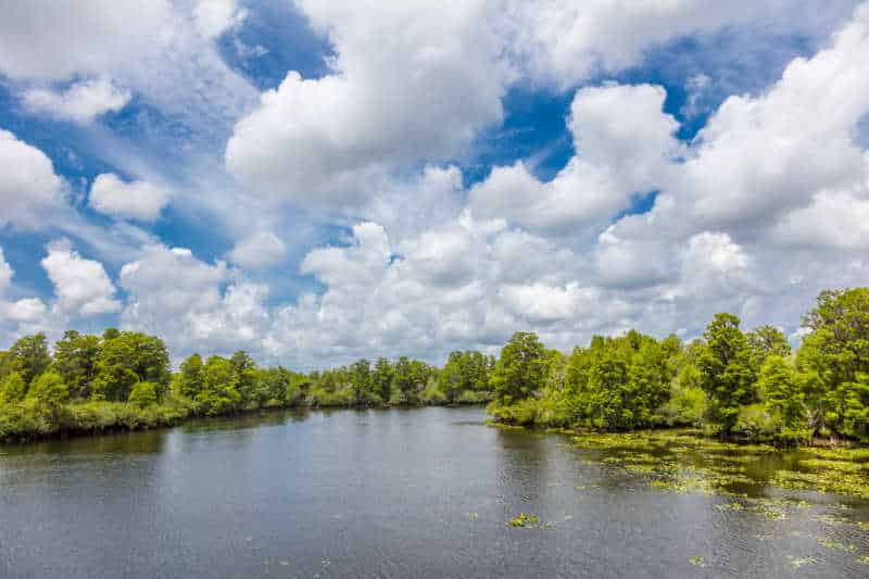 Tampa parks, parks in Tampa