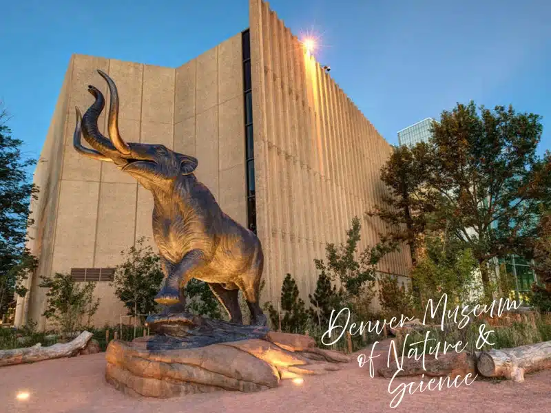 Denver Museum of Nature & Science with bronze mammoth at dusk—Denver experience gift idea (gift membership).
