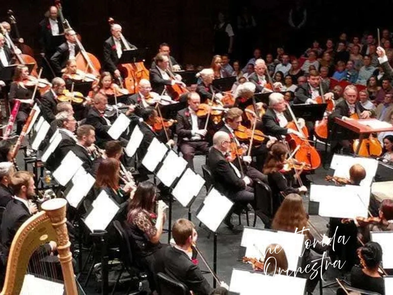 The Florida Orchestra performing on stage with strings and conductor, Tampa Bay concert gift idea