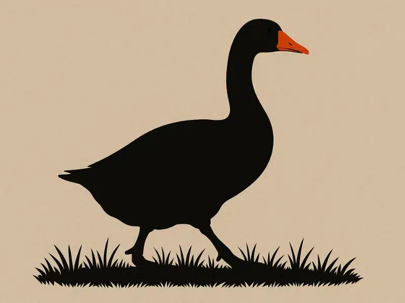 Black silhouette of a goose with an orange beak walking through grass on a tan background.