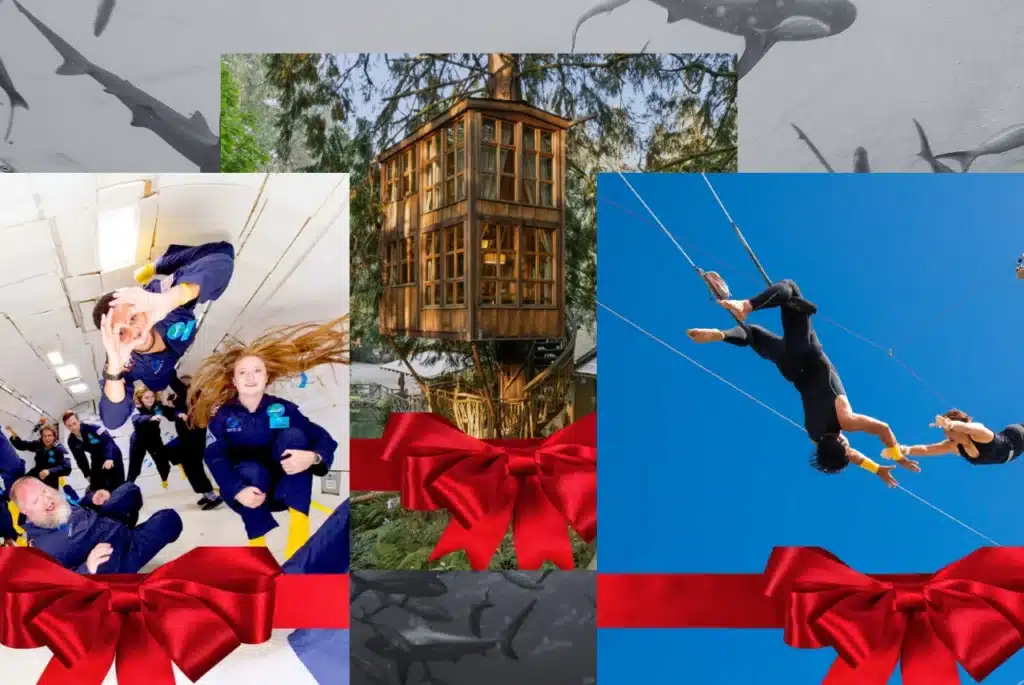 Extreme experiences gift collage – zero-gravity flight, forest treehouse stay, and trapeze adventure with red gift bows.