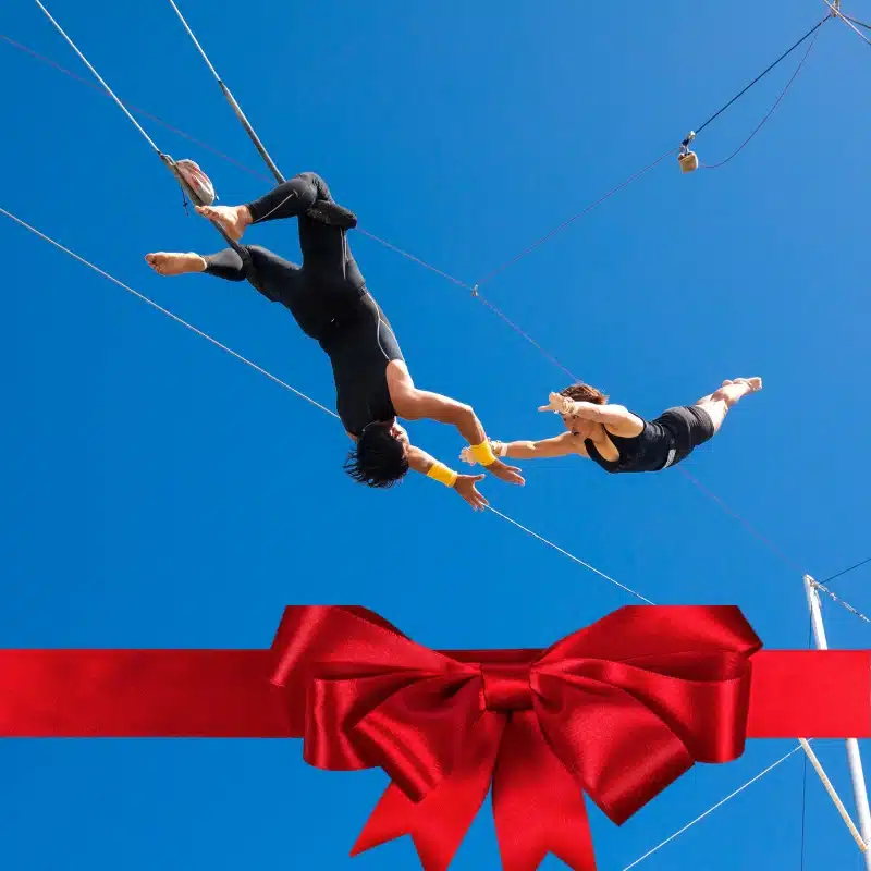 Extreme experience gift – trapeze flying lesson for adventure seekers.