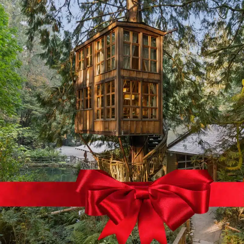 Extreme experience gift – luxury treehouse stay surrounded by forest.