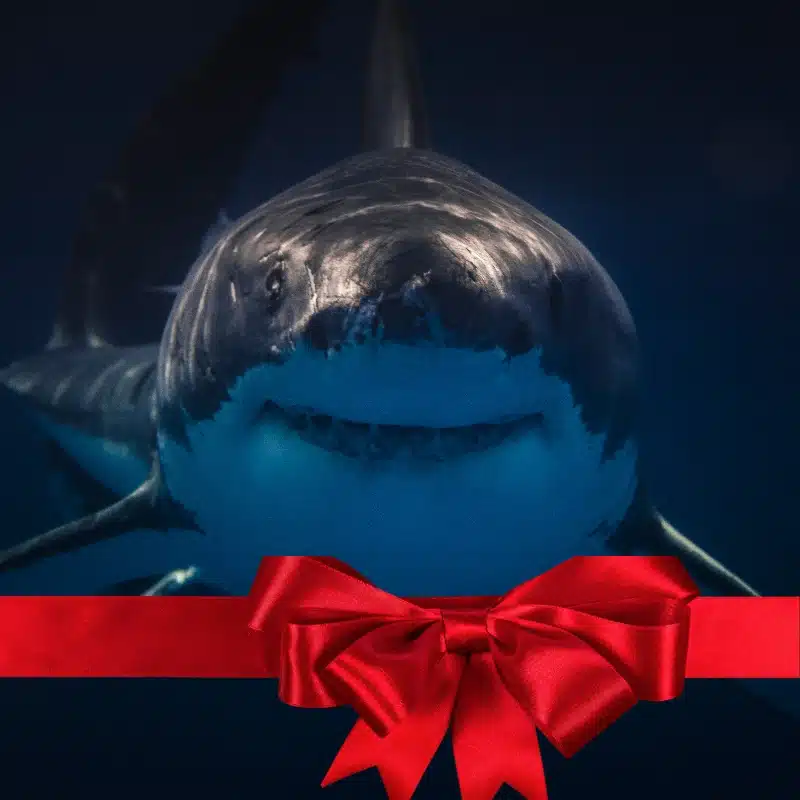 Extreme experience gift – shark cage diving adventure.